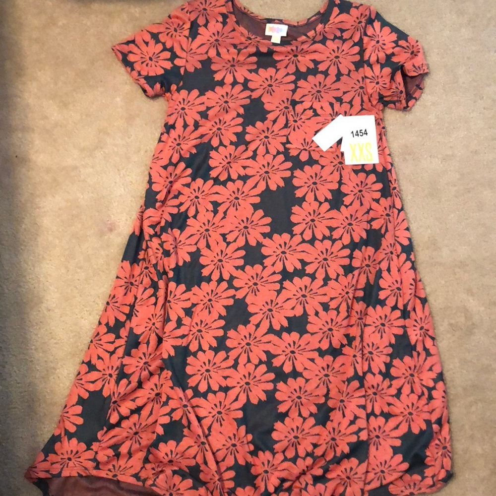 Lularoe Carly Dress
